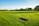 A vacant lot with a clearly marked centerpoint stake under a bright sky.