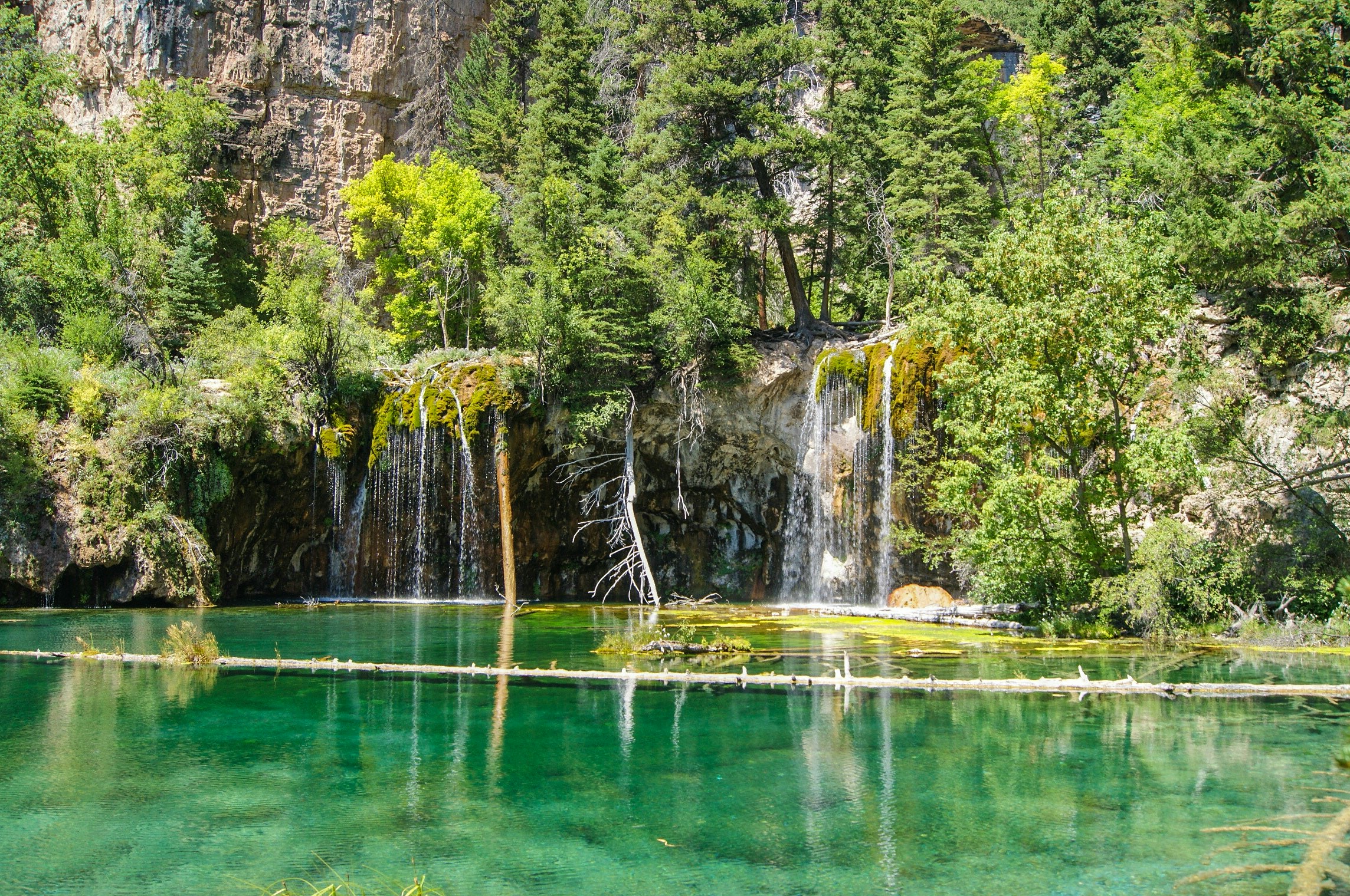 Free Unsplash photo from Zach Betten