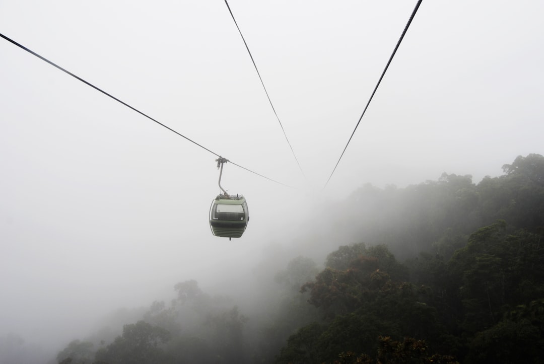 gray cable car over trees near mist