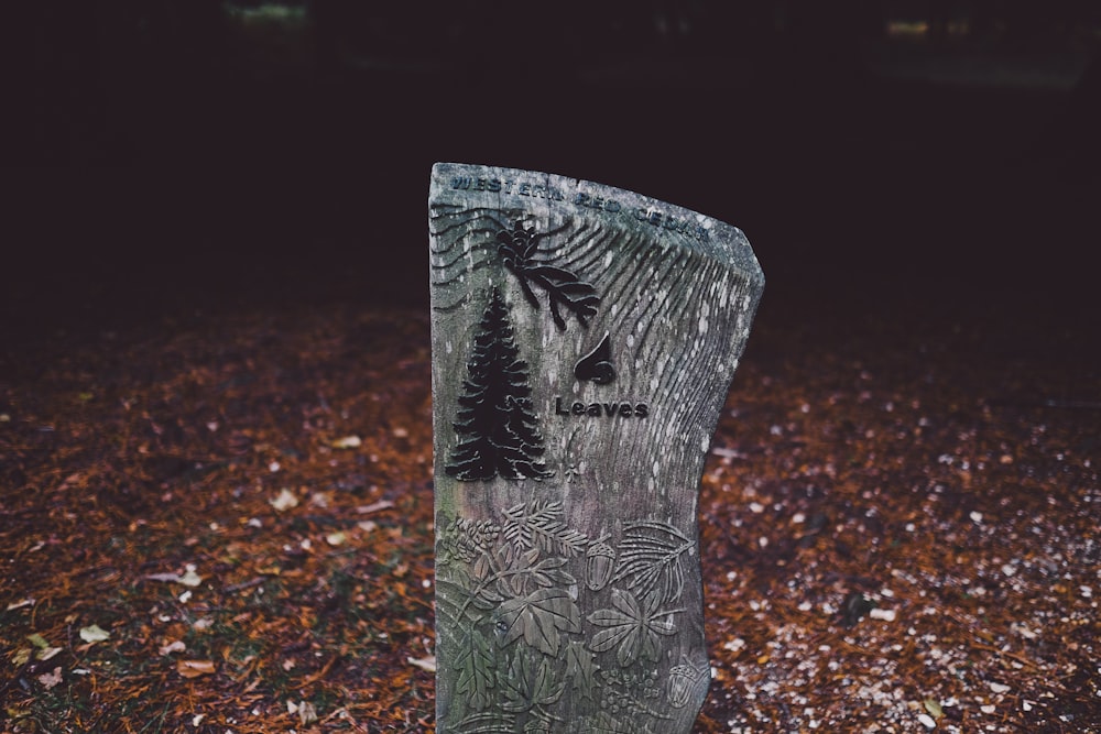 grauer Stein auf brauner Oberfläche