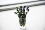 Soft lavender flowers arranged on rustic wooden table with warm sunlight.
