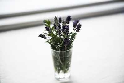 Fresh lavender flowers laid out beside a glass diffuser emitting mist.