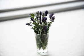 Soft lavender flowers arranged on rustic wooden table with warm sunlight.