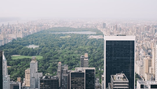 aerial photo of Central Park, New York in Central Park United States