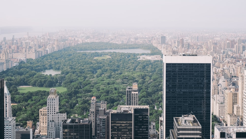 aerial photo of Central Park, New York