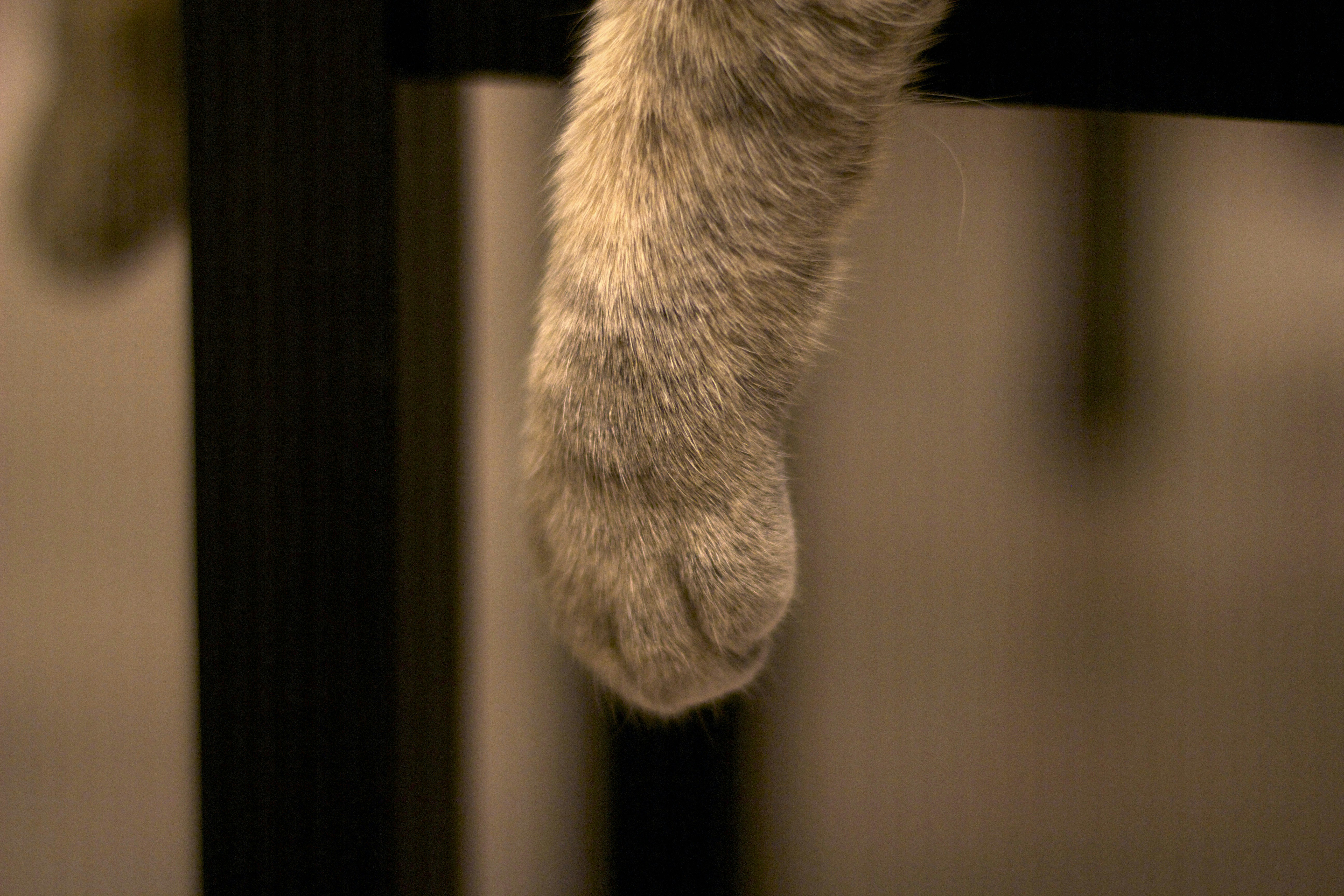 Free Unsplash photo from Ivan Televny