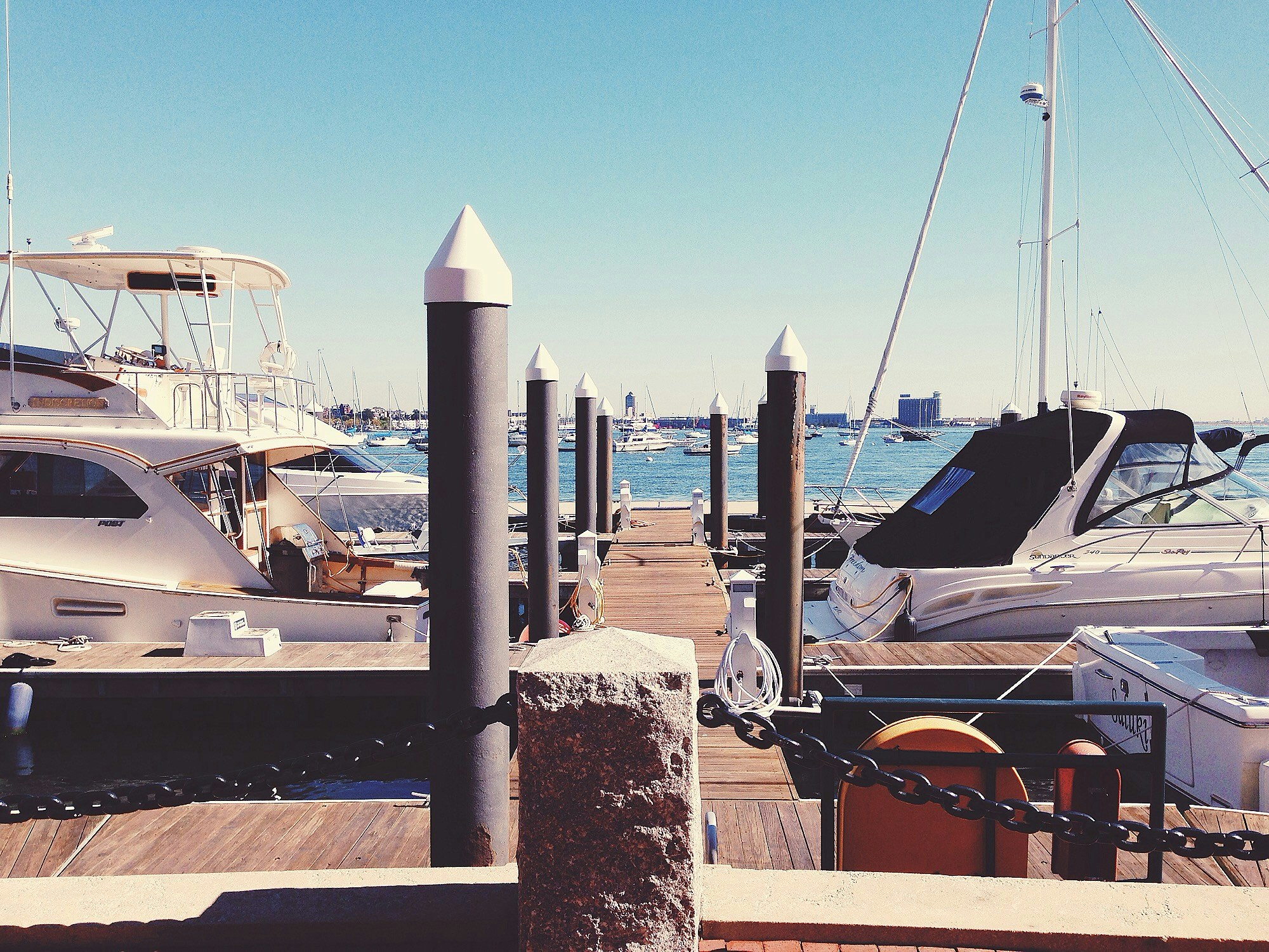 Free Unsplash photo from Haley Peabody