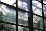 Shiny residential windows reflecting a sunny garden, freshly cleaned.