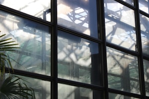 Large glass windows reflecting shadows and structural patterns, with a visible part of a plant inside or outside.