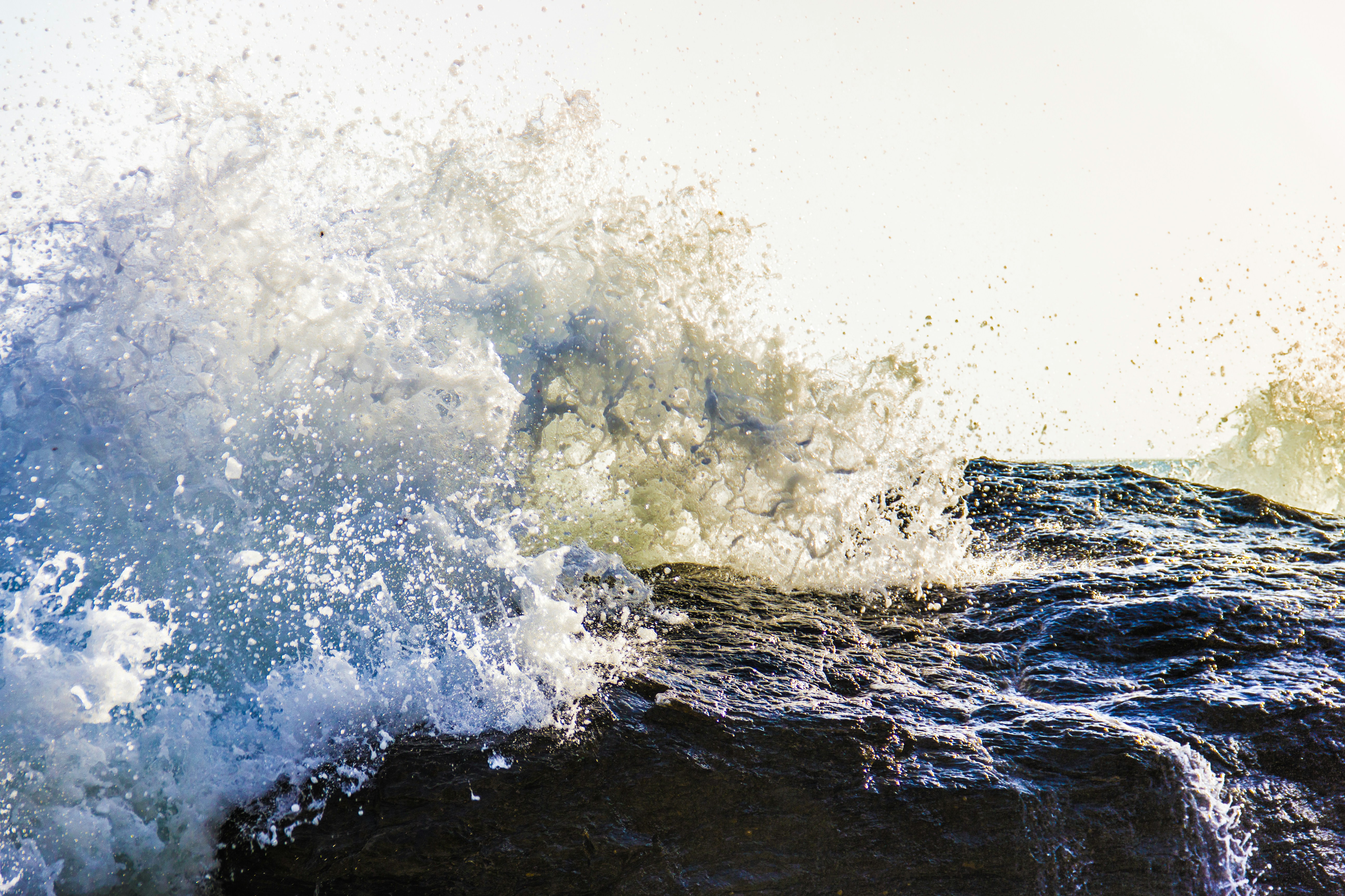 Pin by Eliane Dumke on mares, lagos, rios Wildlife prints, Coastal prints, Under