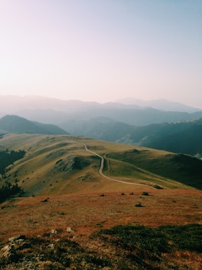 road in the middle of grass covered field during day