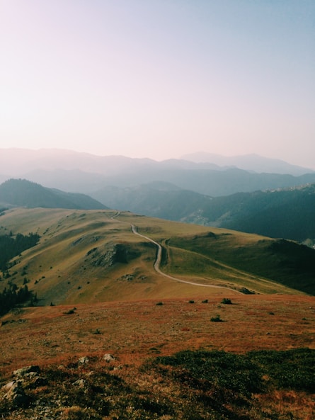 road in the middle of grass covered field during day