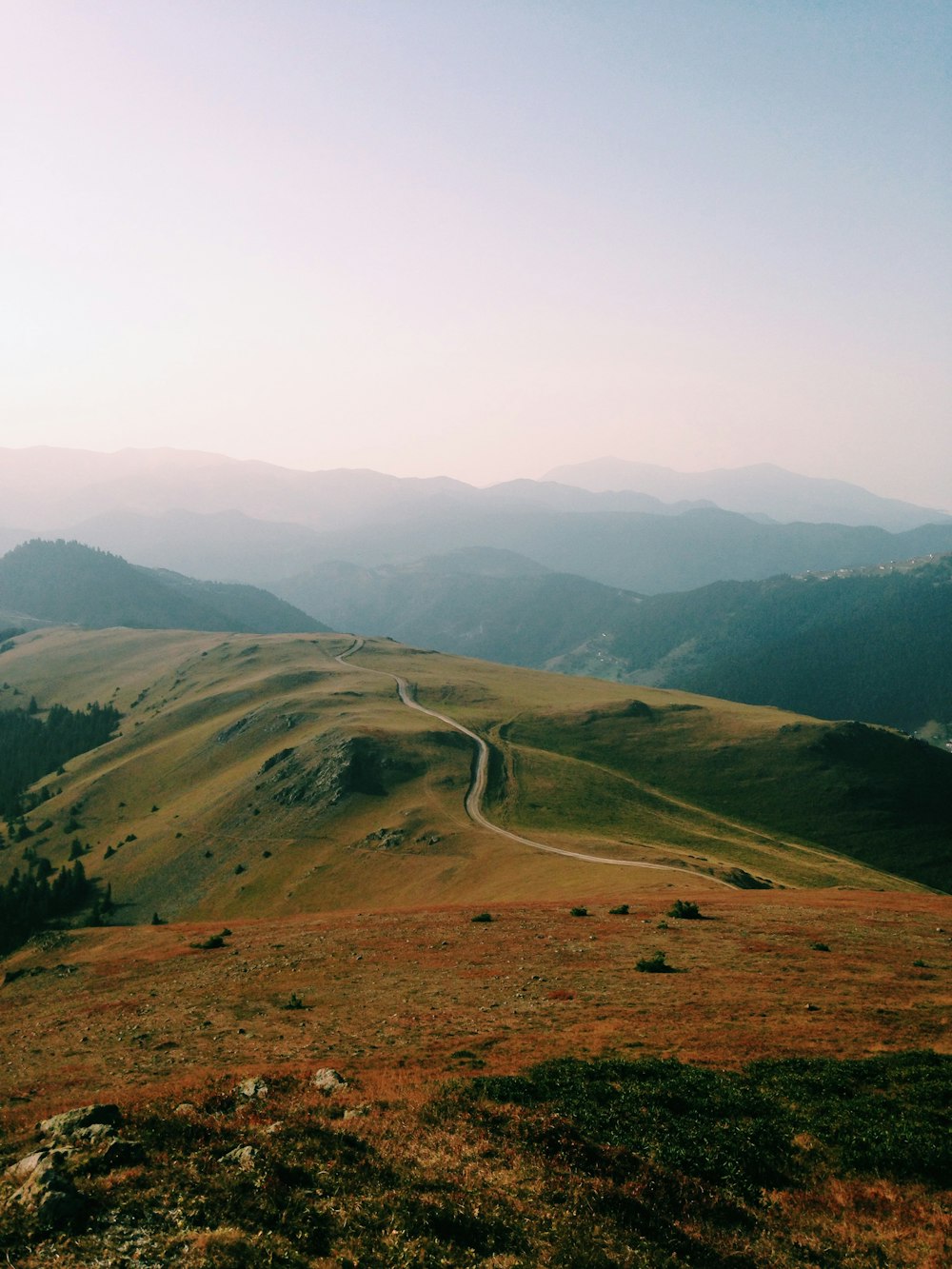 route au milieu d’un champ couvert d’herbe pendant la journée