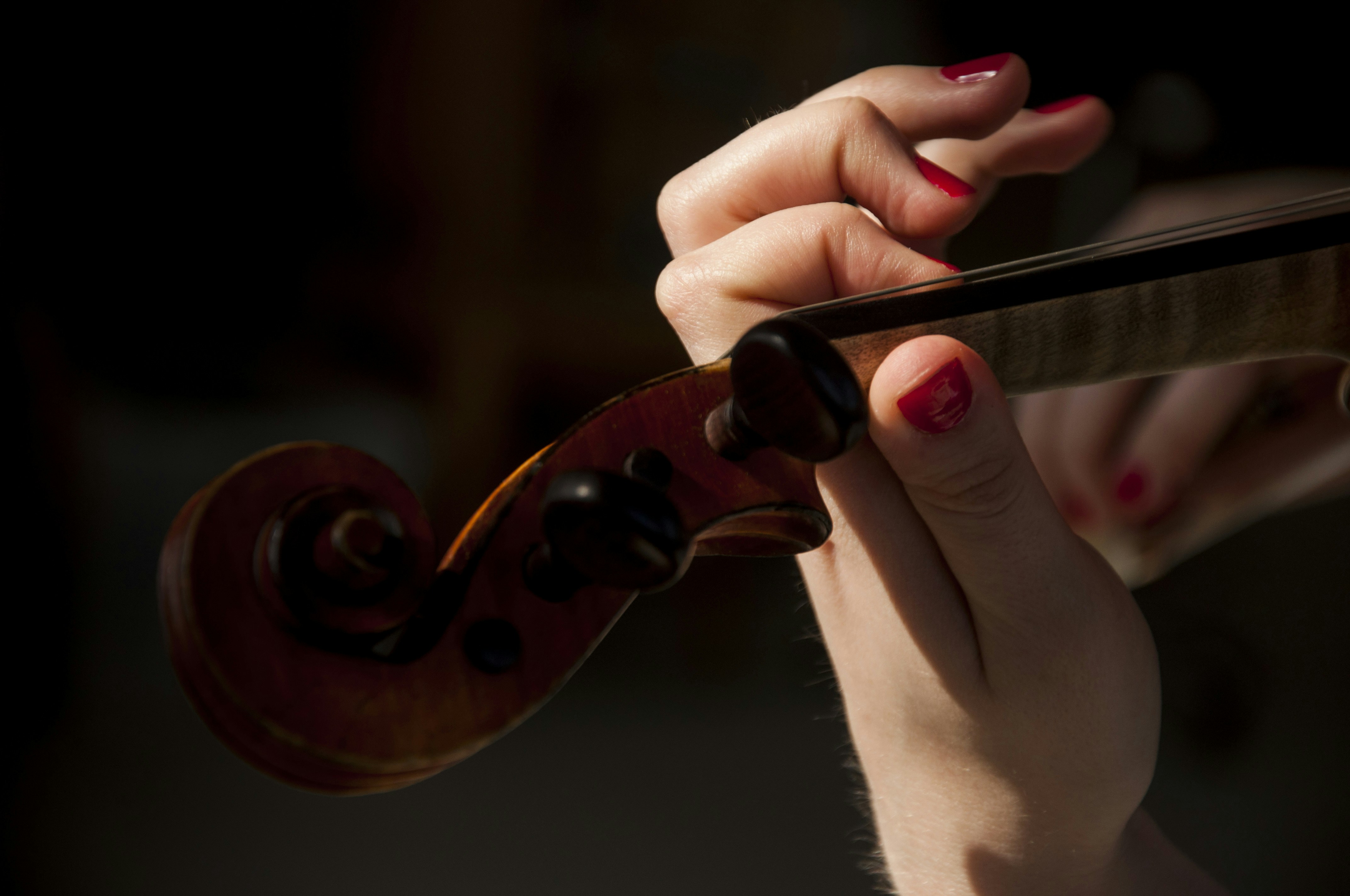 Free Unsplash photo from Joyee Zhou