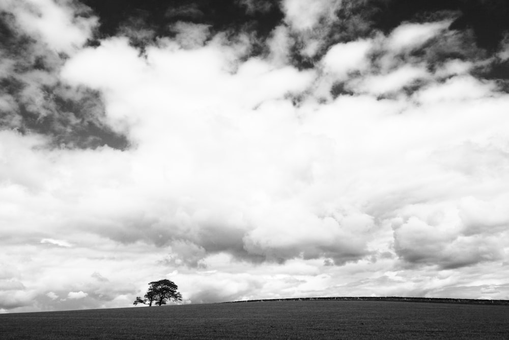 Foto en escala de grises de un árbol