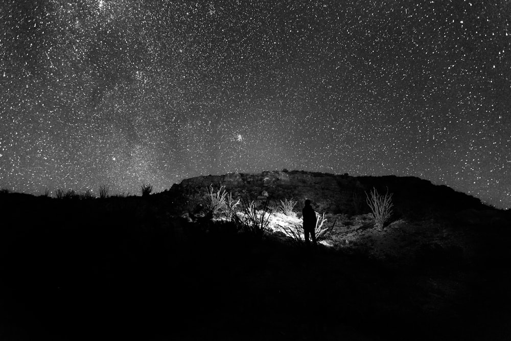 person standing holding flashlight near trees