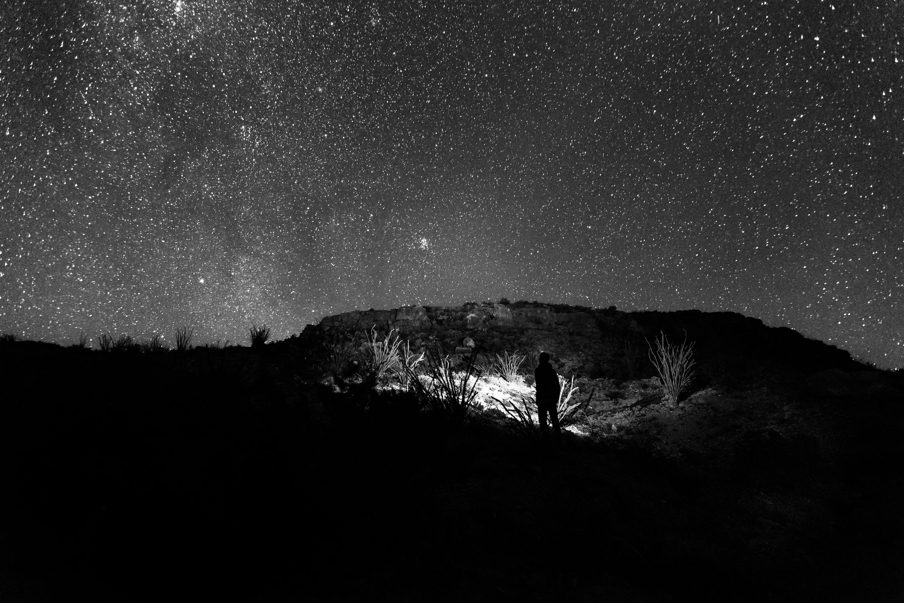 person standing holding flashlight near trees