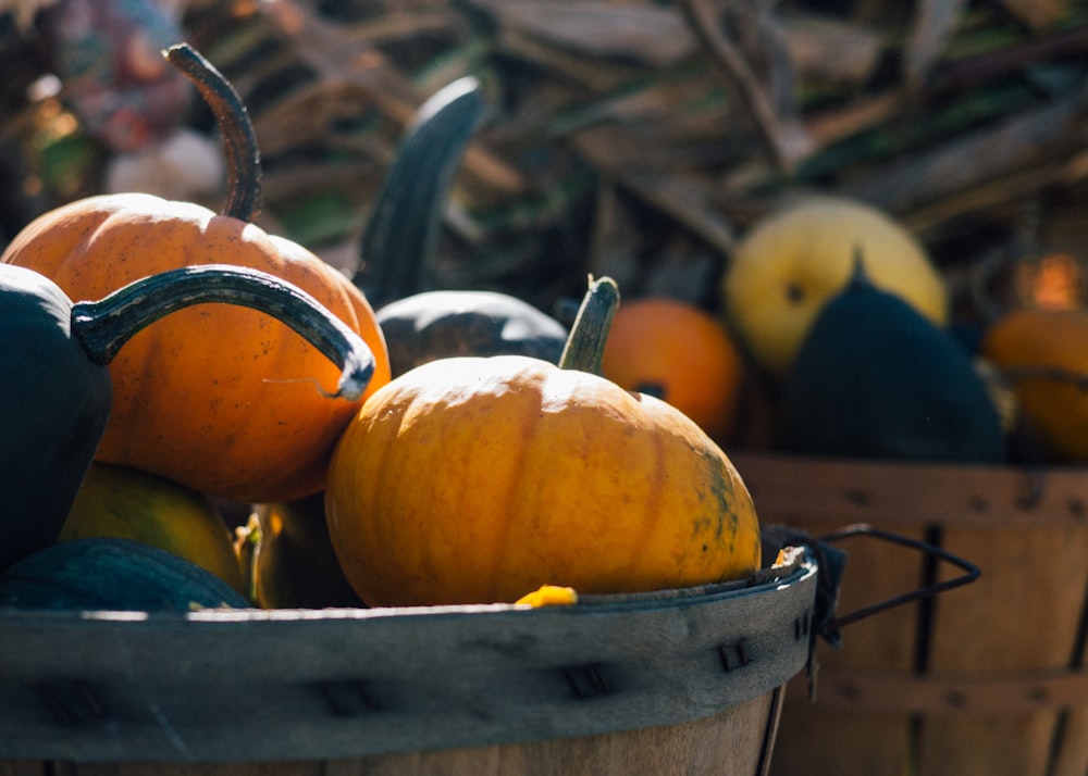 Orange Pumpkins Selektive Fokusfotografie