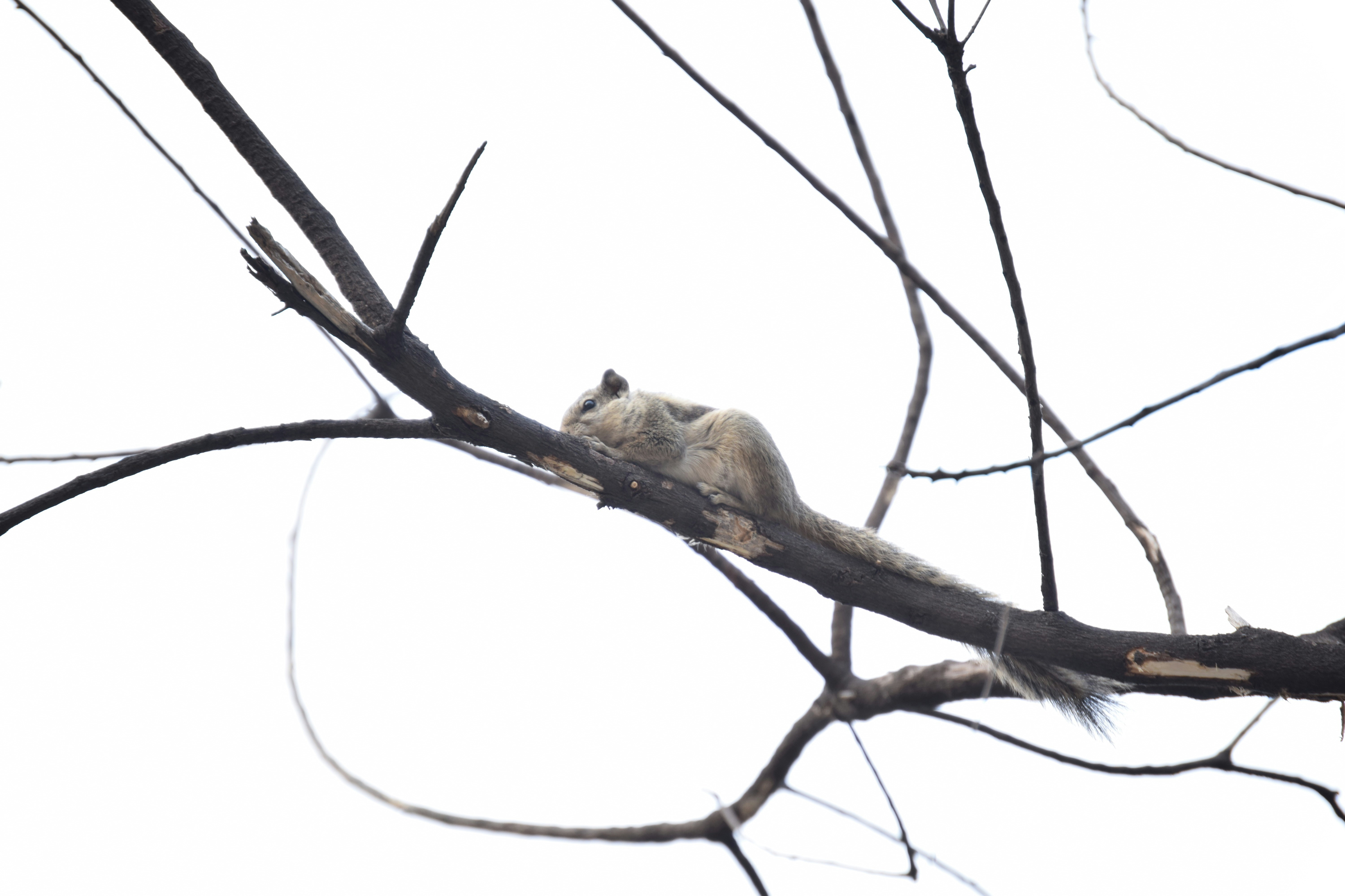 Free Unsplash photo from Ad Click Studio