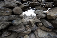 A collection of construction materials arranged aesthetically.