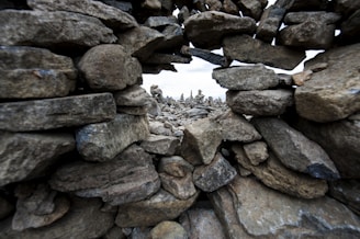 A collection of construction materials arranged aesthetically.