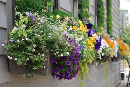 A vibrant windowbox overflowing with colorful spring flowers against a sunny backdrop.