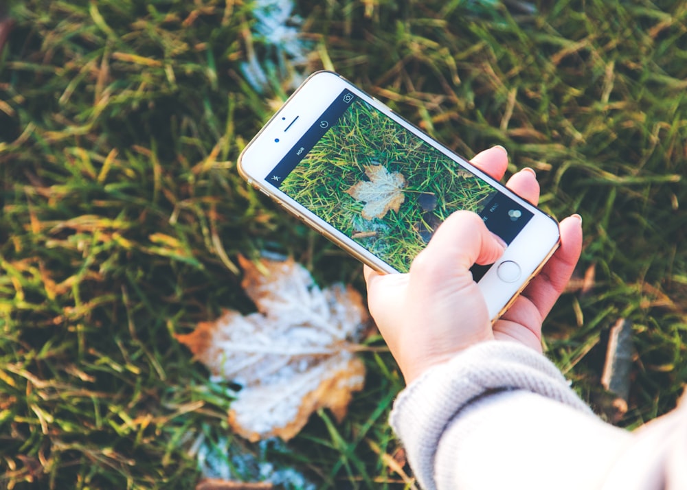 Person mit goldenem iPhone 6