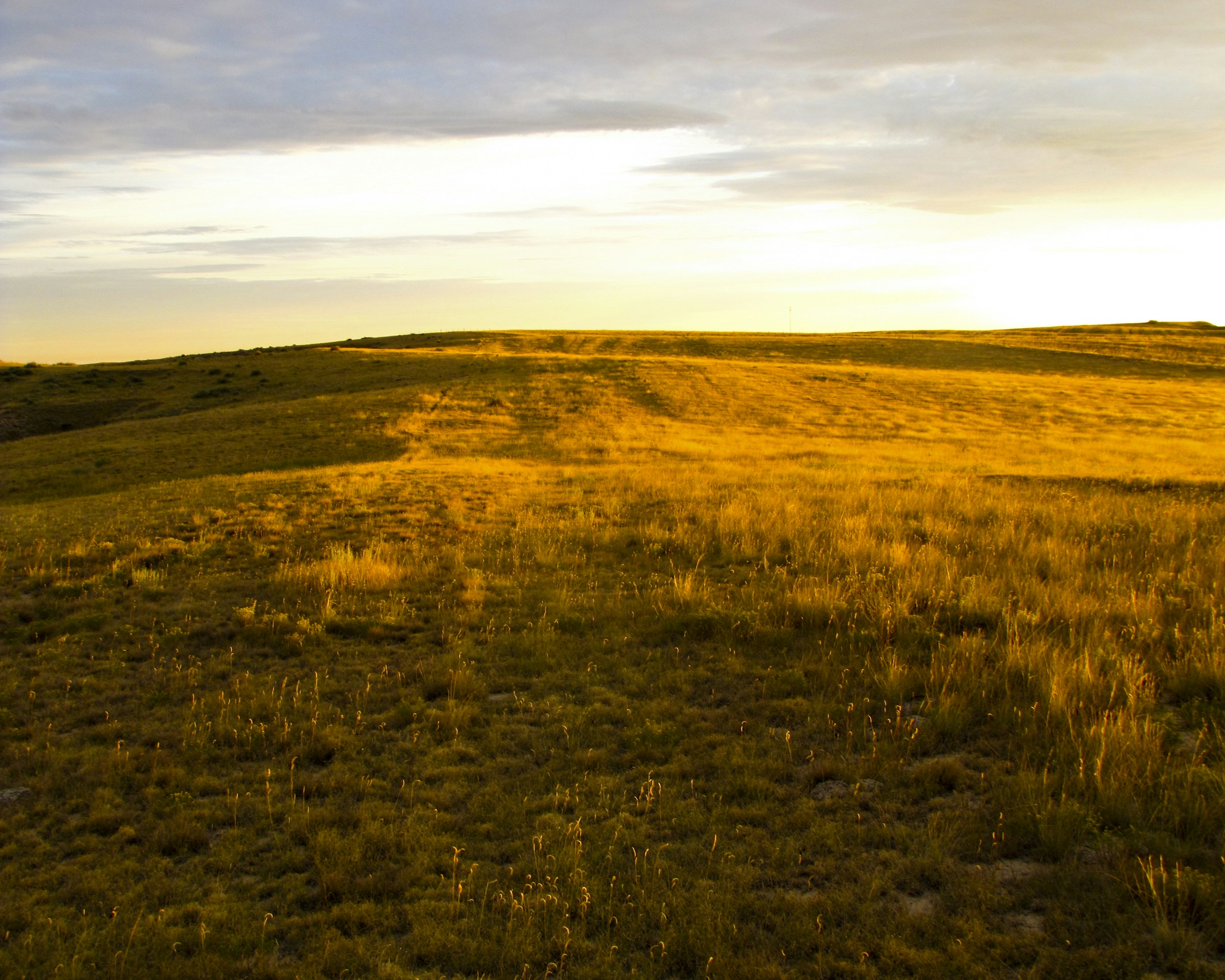 Free Unsplash photo from Danton Holcombe