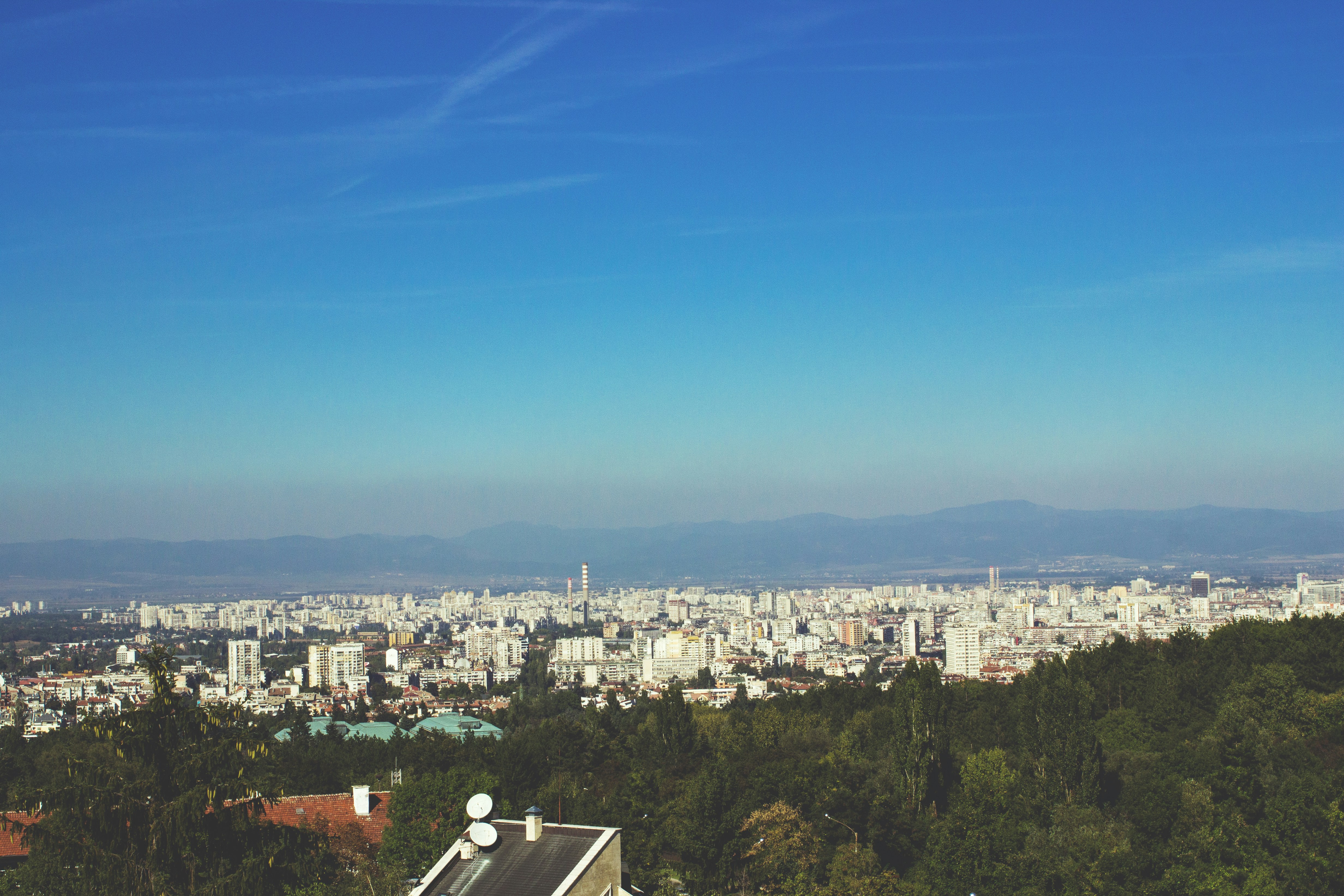 Free Unsplash photo from Maria Kolcheva