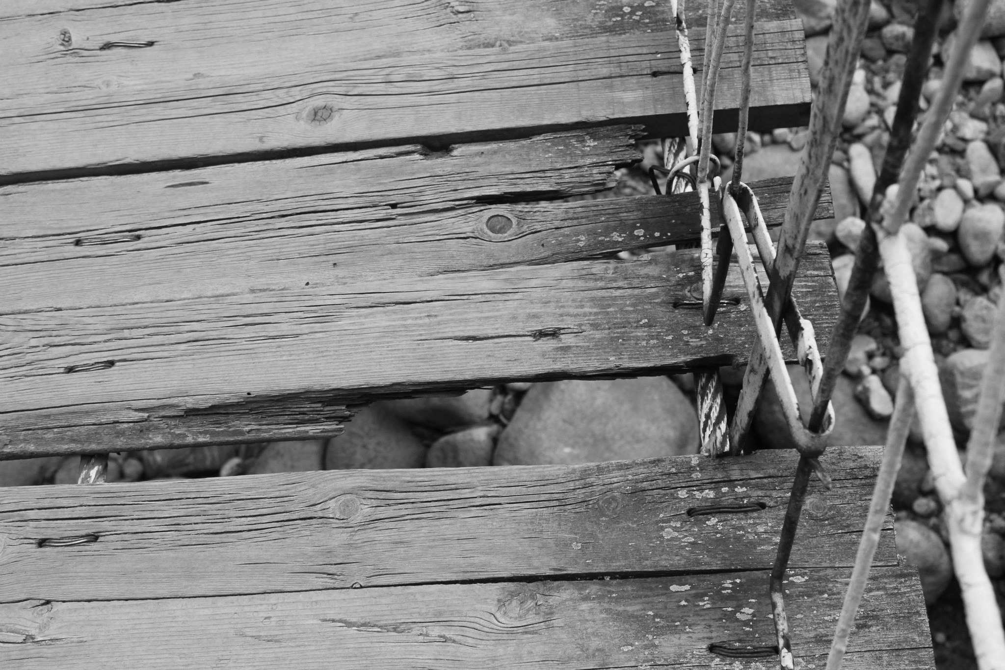 Free Unsplash photo from Maria Kolcheva