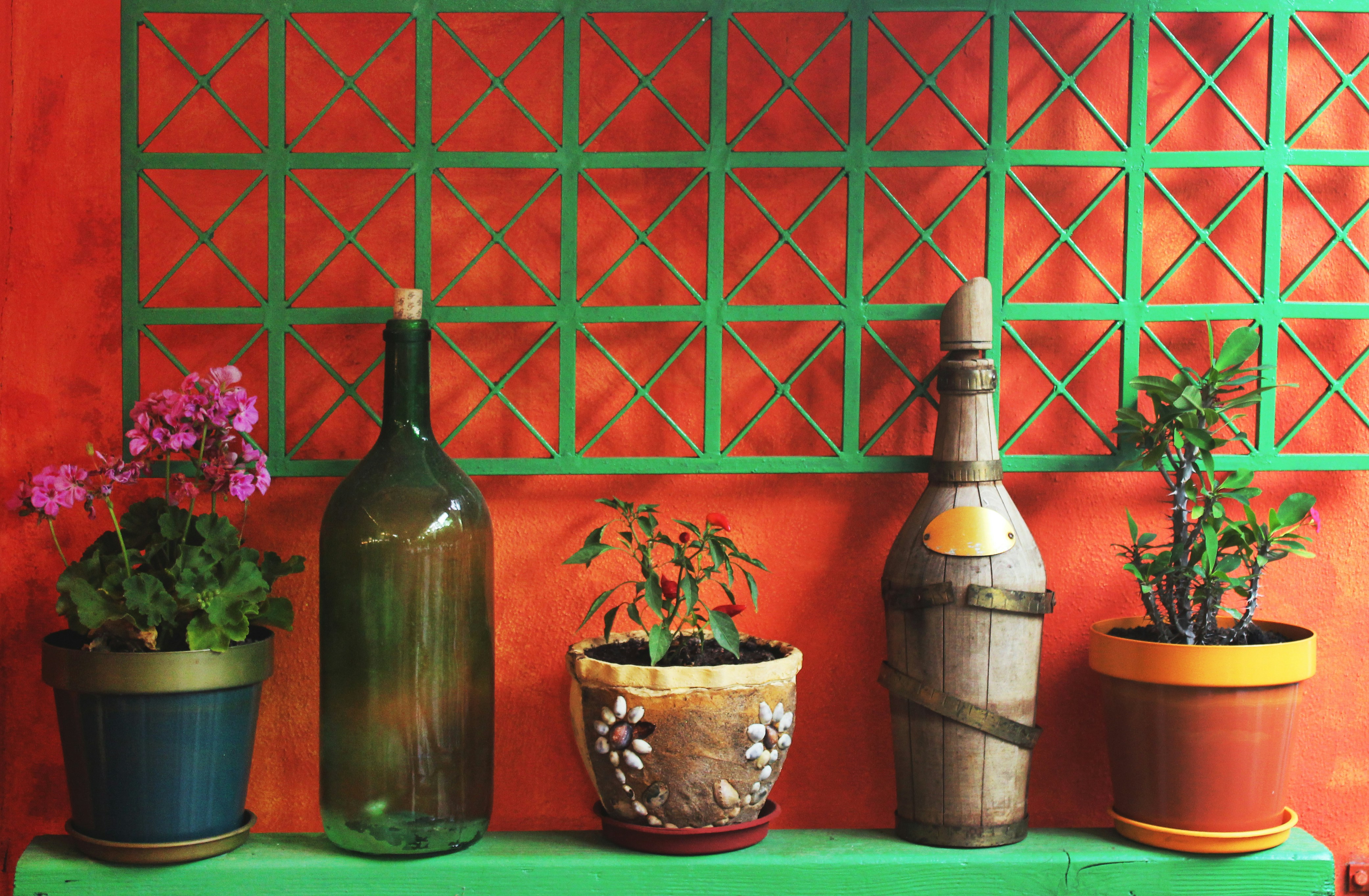 Free Unsplash photo from Maria Kolcheva