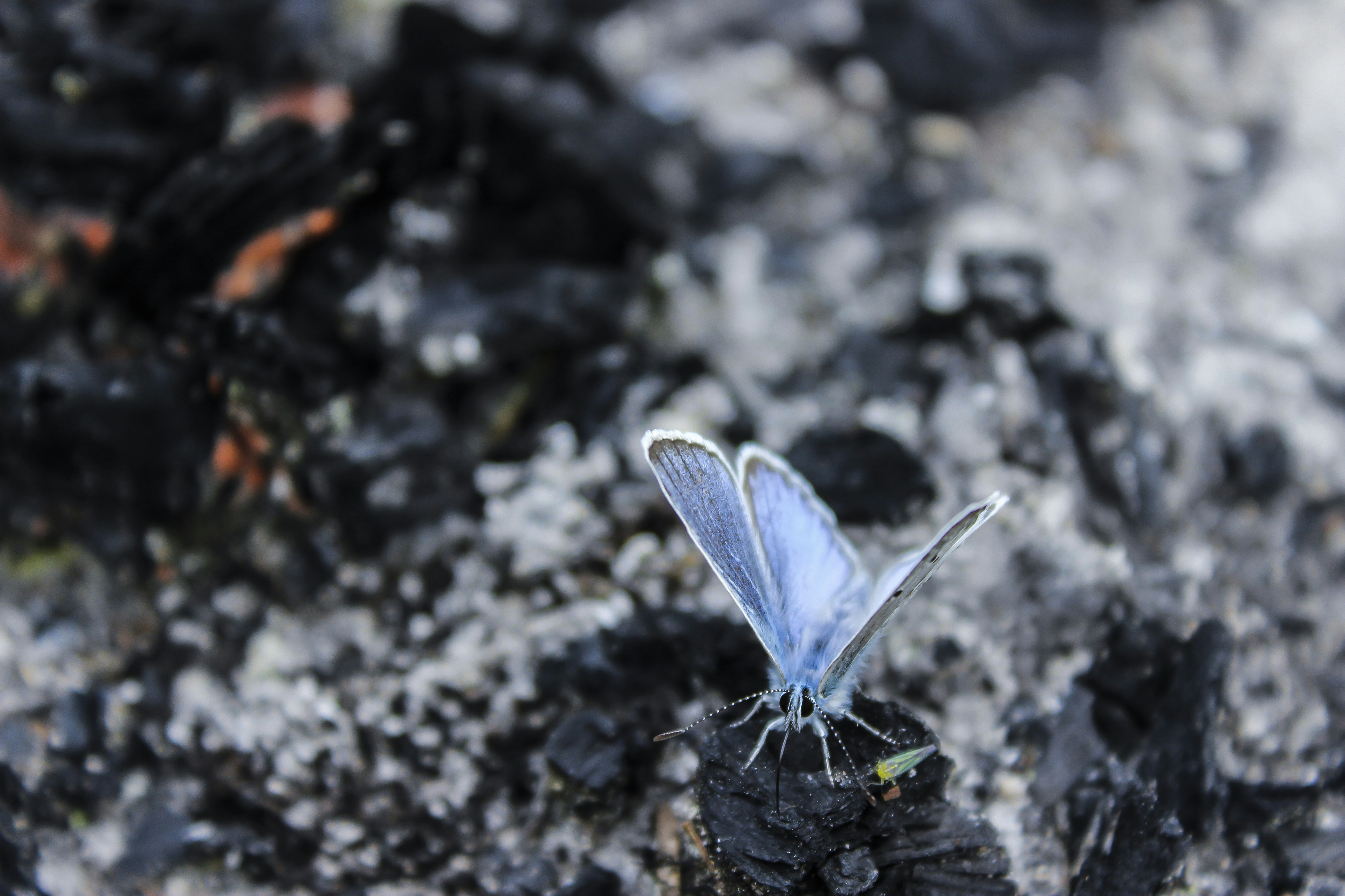 Free Unsplash photo from Maria Kolcheva