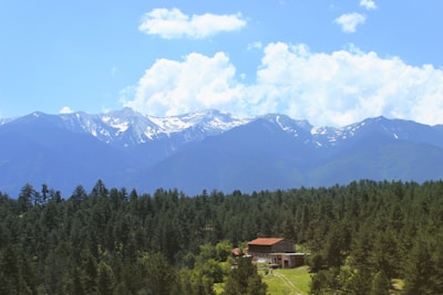 A cozy mountain home surrounded by lush greenery under a clear blue sky.