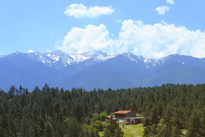 A stunning 4 BHK luxury duplex nestled among pine trees with misty Himalayan peaks in the background.