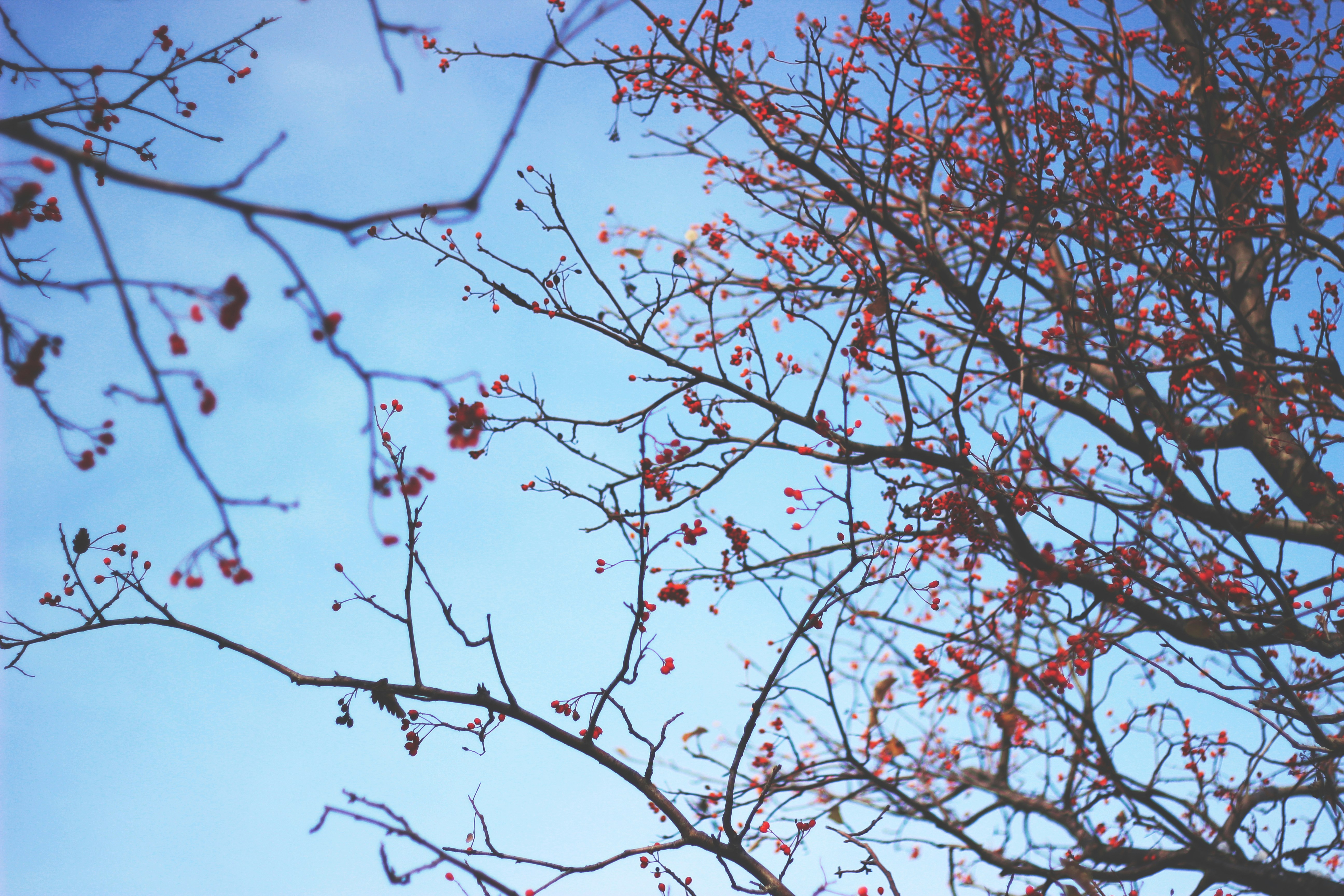 Free Unsplash photo from Maria Kolcheva