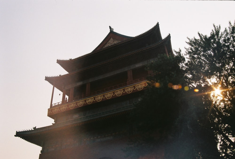 foto de baixo ângulo da árvore ao lado do templo do pagode
