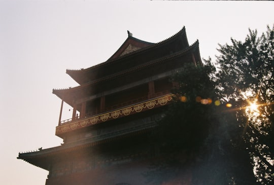 low angle photo of tree beside pagoda temple in 北京 China