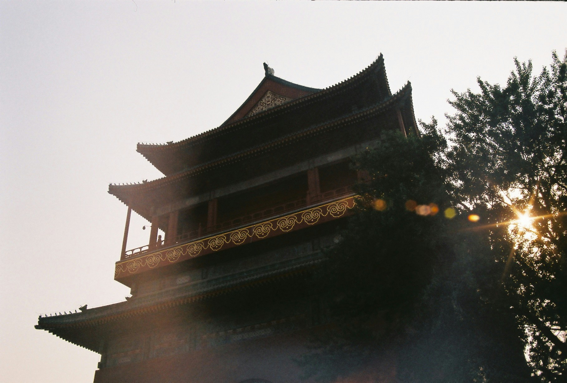 Asian house and tree