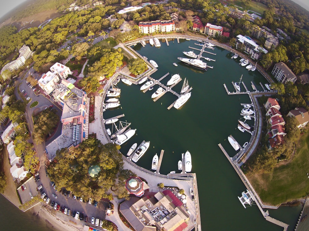 bird's eye view of body of water