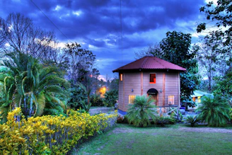 A cozy home surrounded by lush red sandalwood trees at sunset.