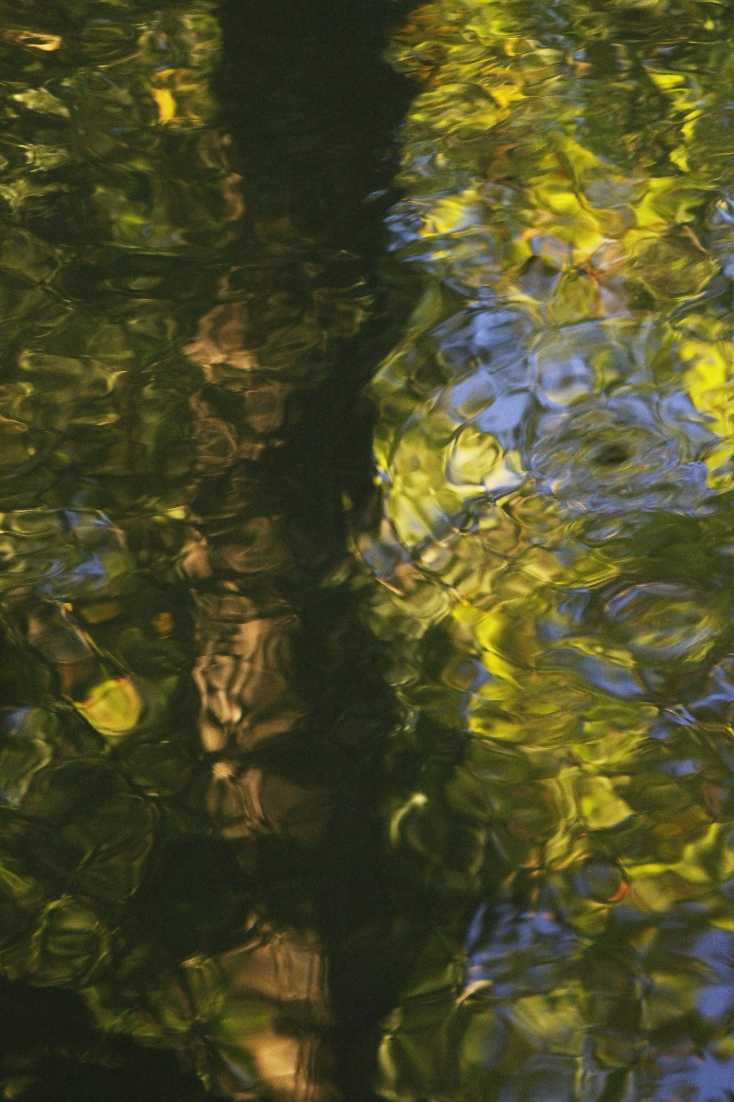 Free Unsplash photo from Claverie Pierre