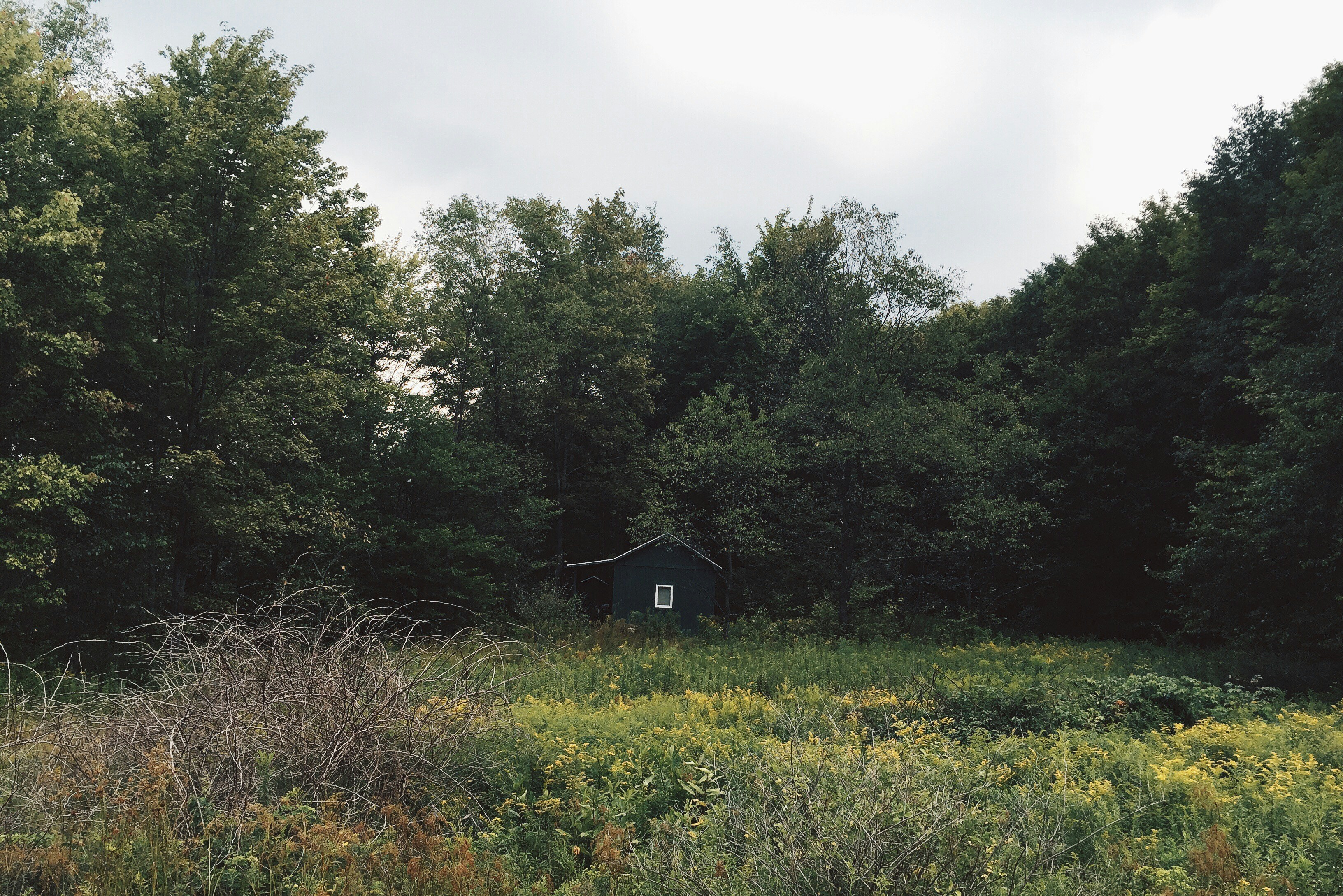 Free Unsplash photo from Jacob  Sapp