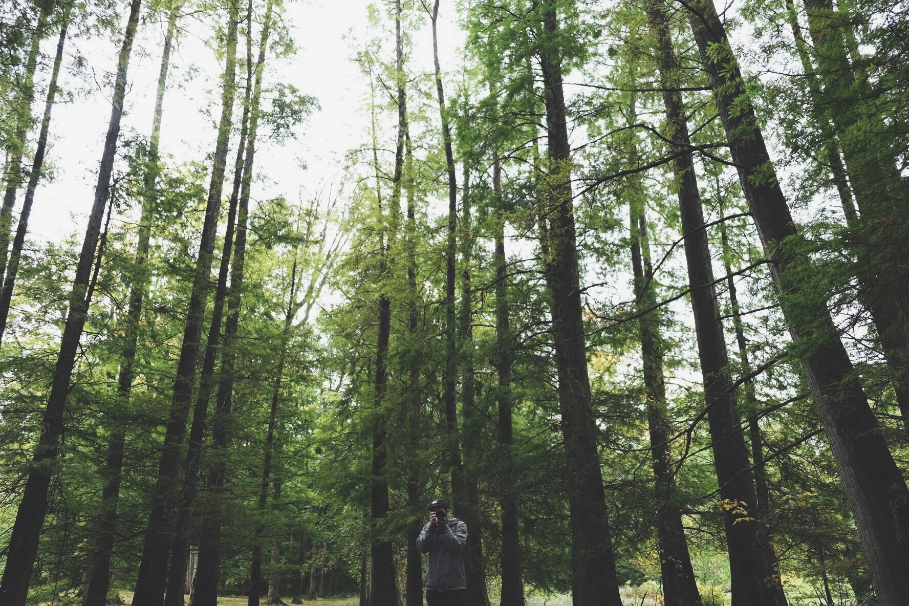 Free Unsplash photo from Jacob  Sapp