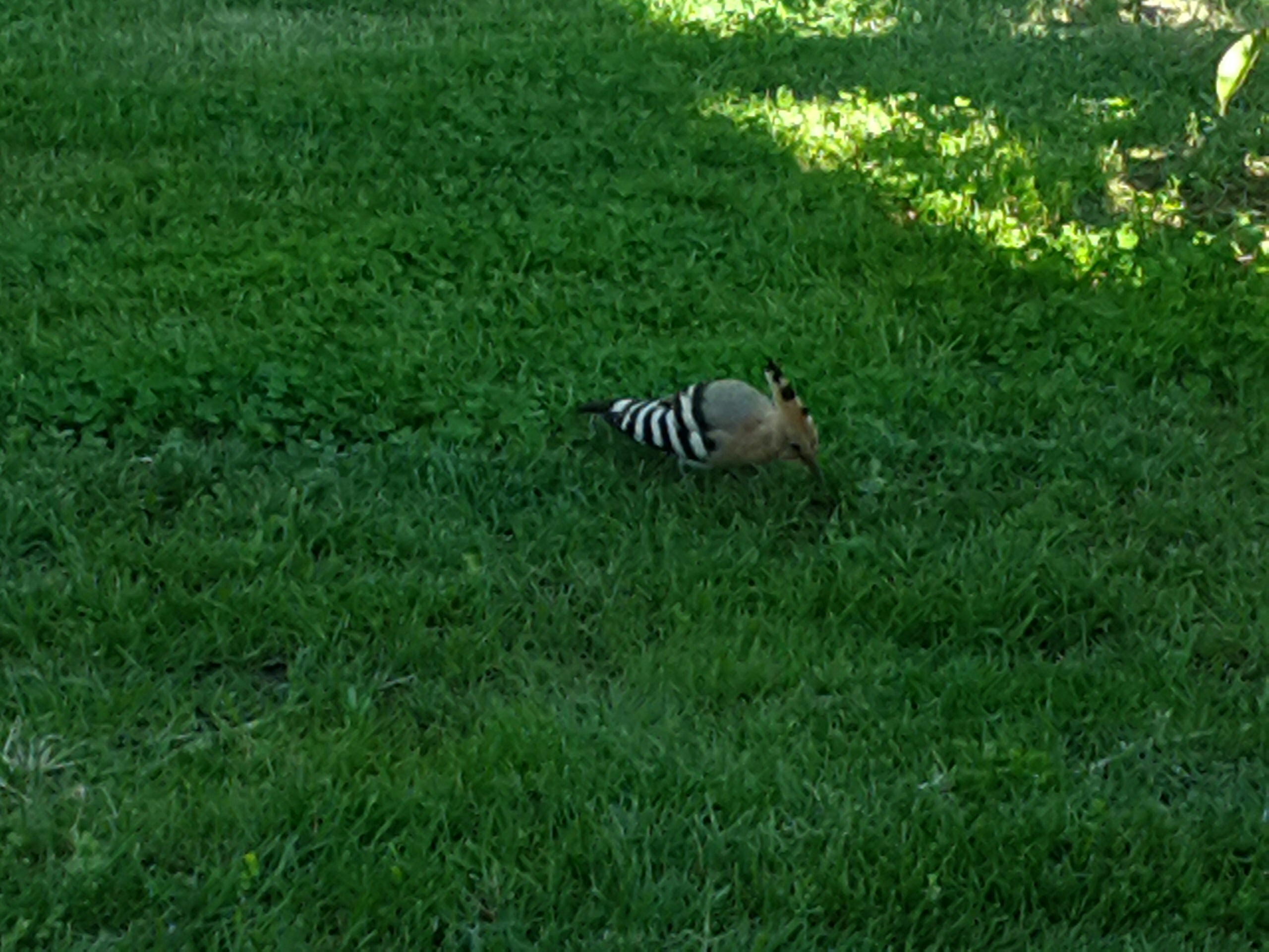 Free Unsplash photo from Mayte Rodríguez