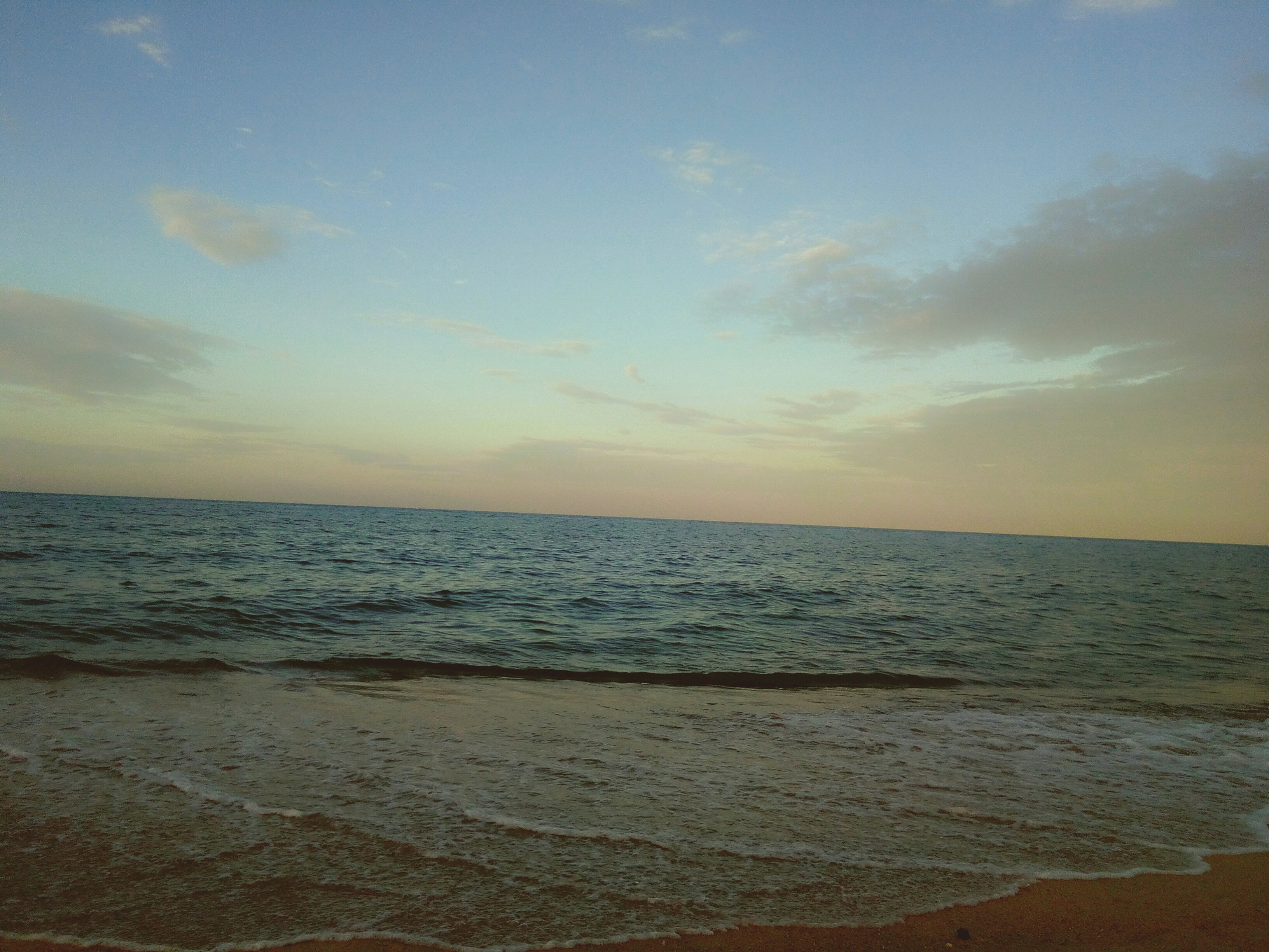 Free Unsplash photo from Royhan Mahara