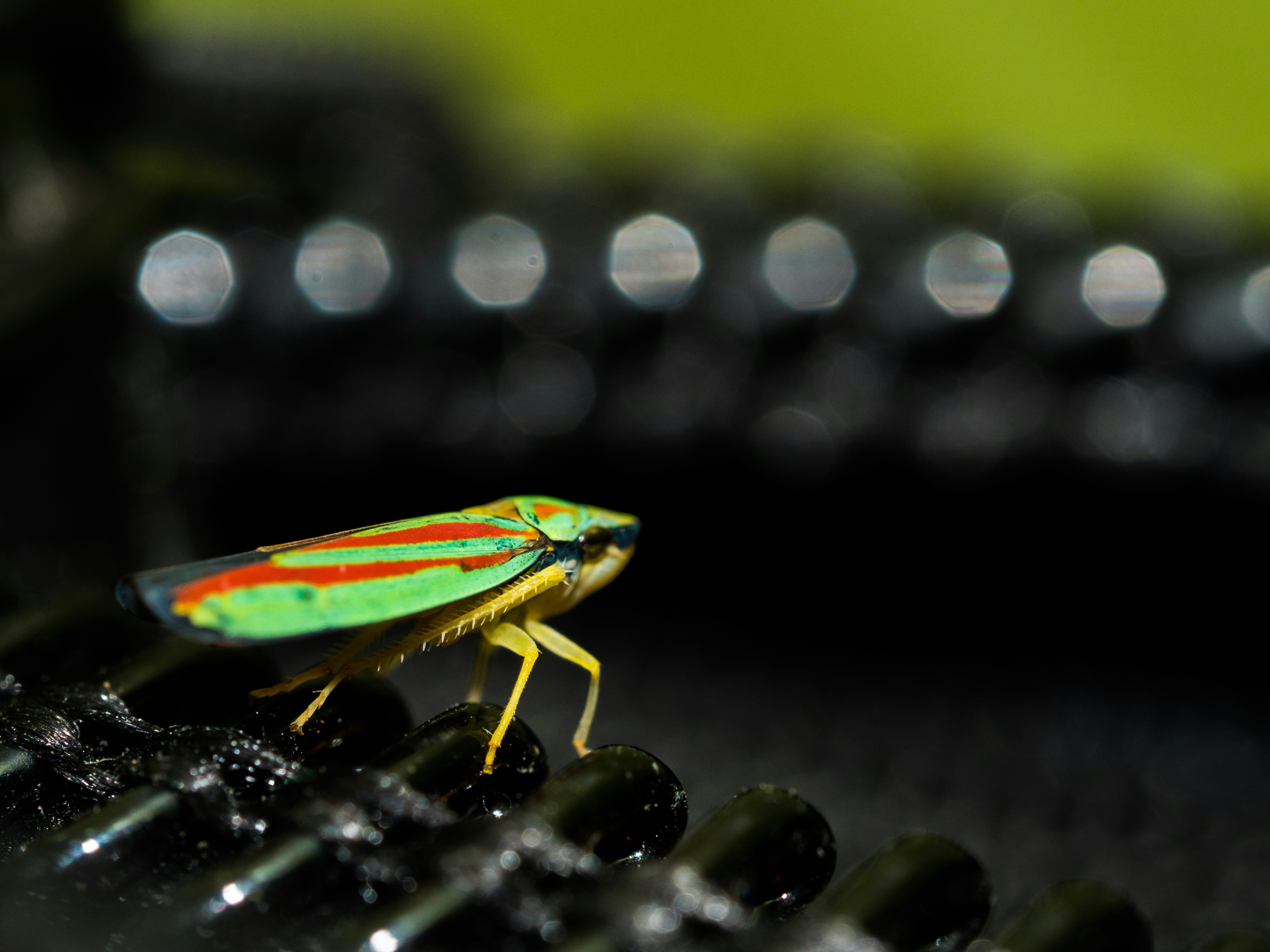 Free Unsplash photo from dan carlson