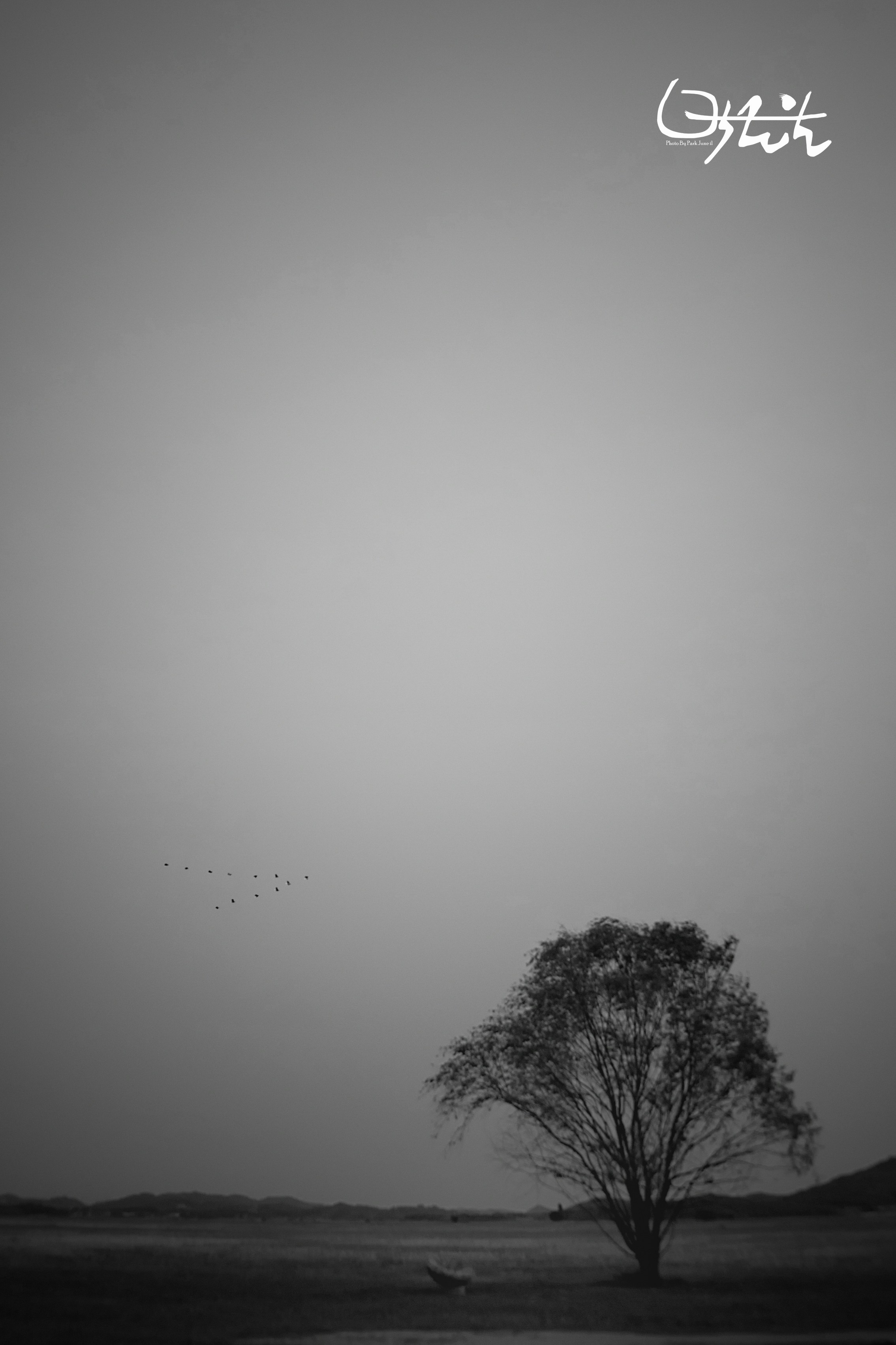 Free Unsplash photo from June Park