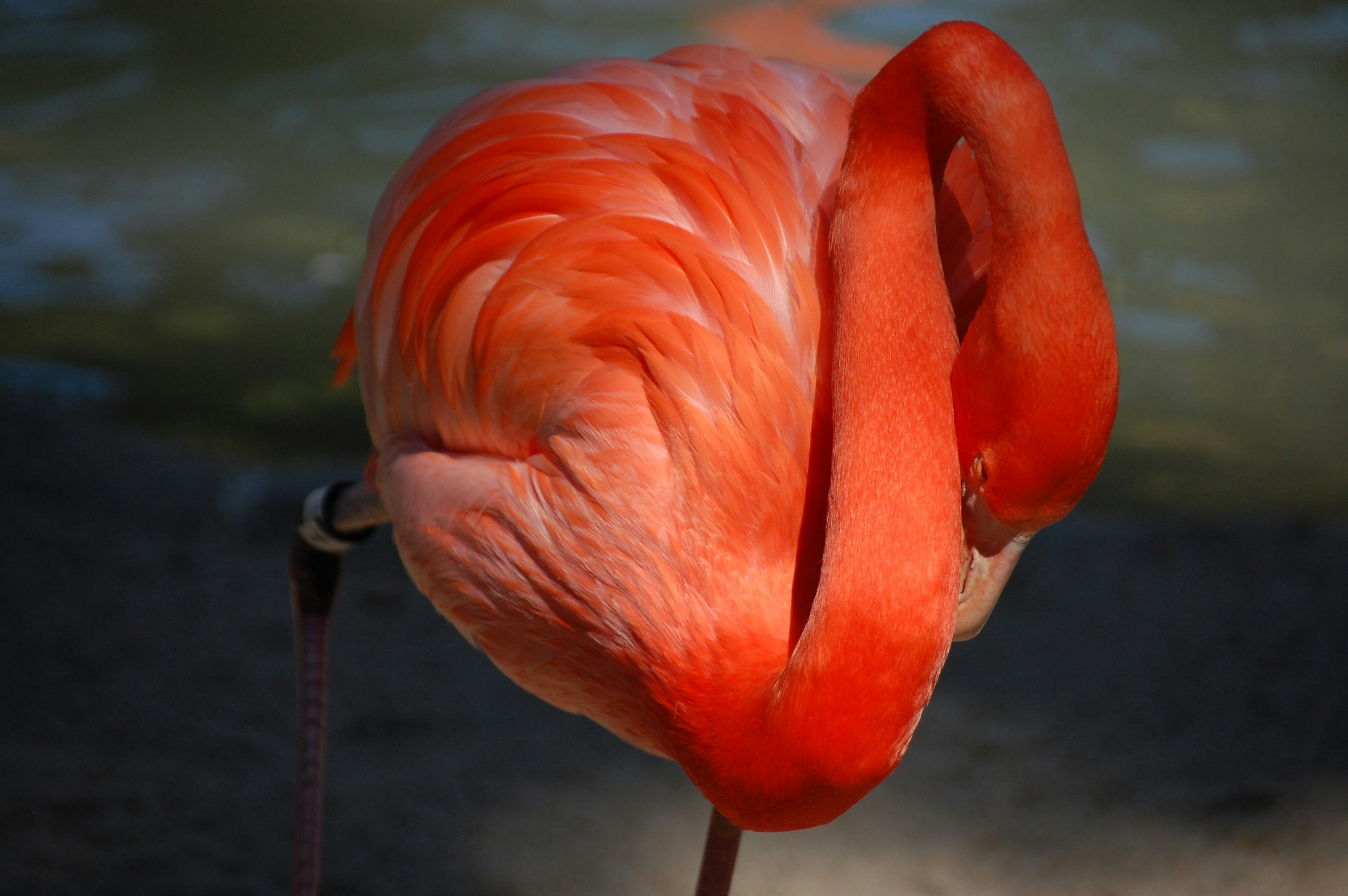 Free Unsplash photo from Mo