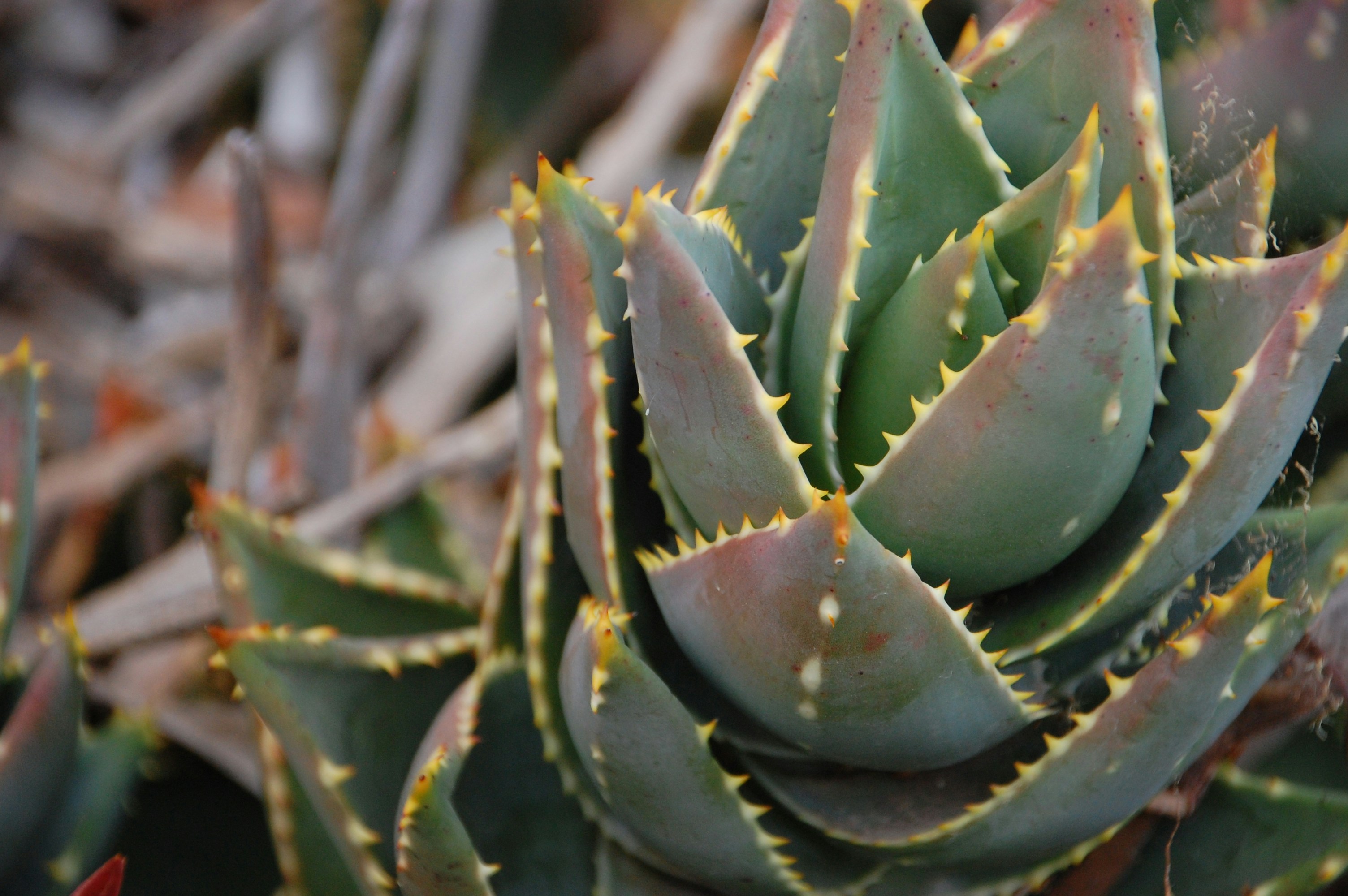 Free Unsplash photo from Mo