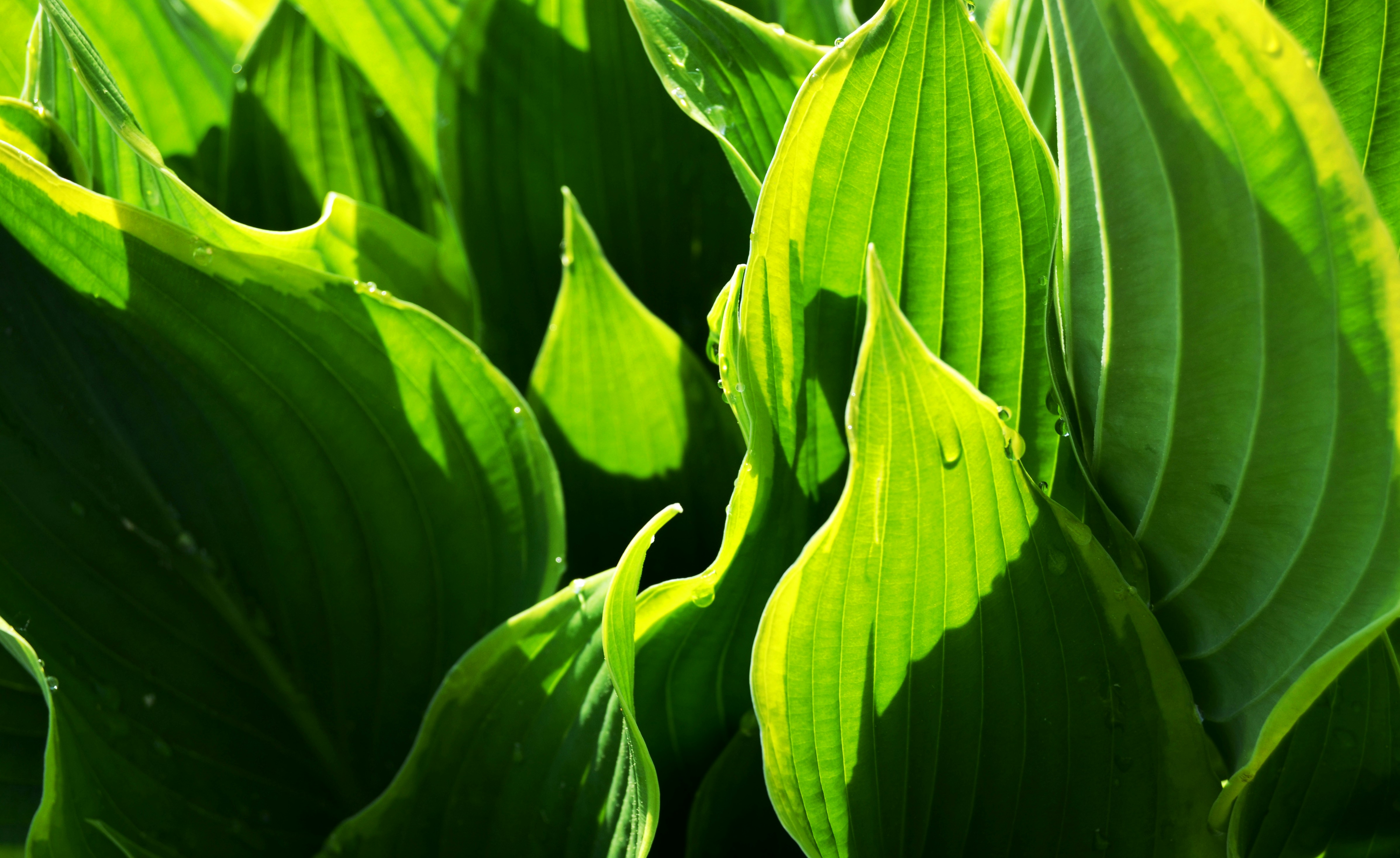 Free Unsplash photo from Katerina Bartosova